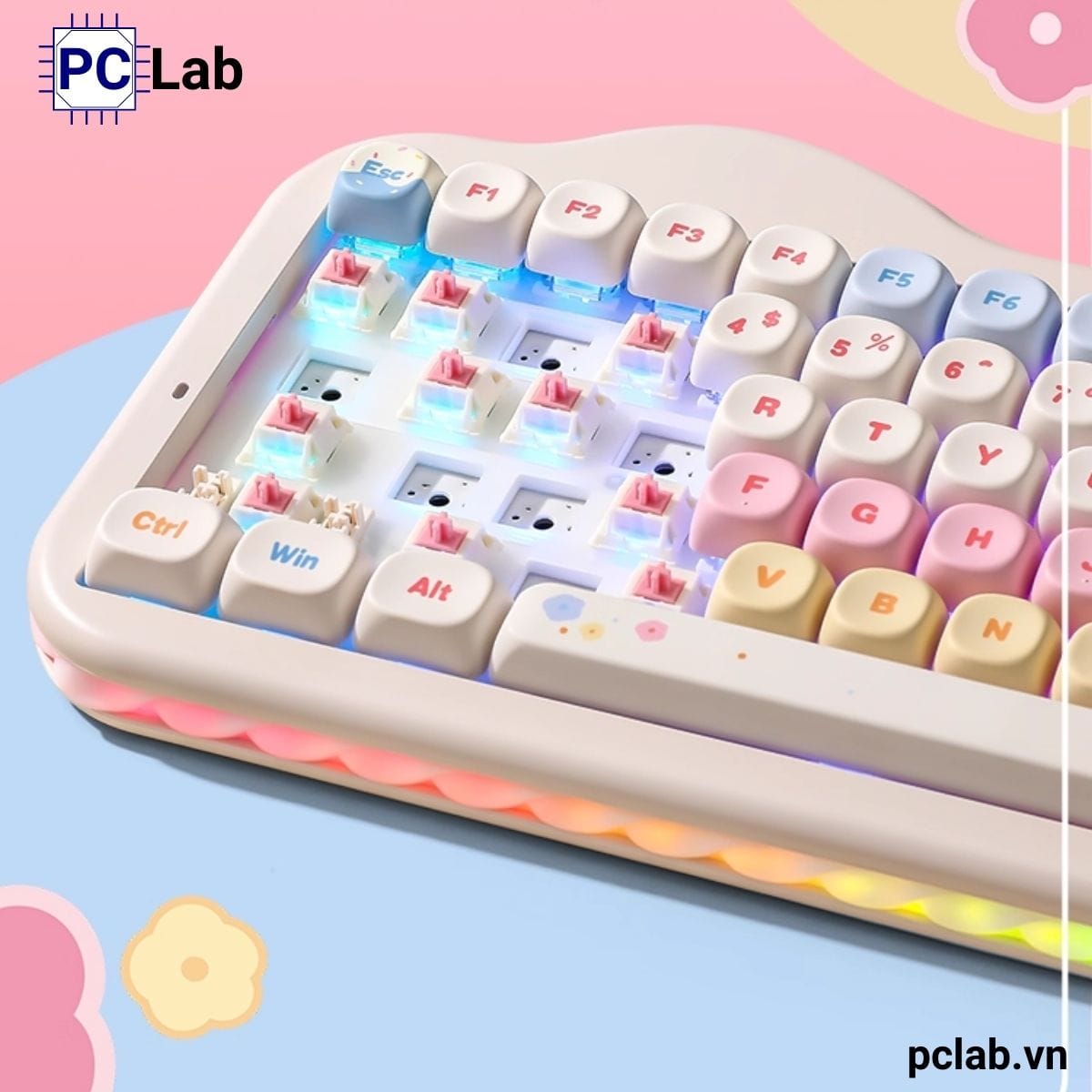 Bàn phím cơ Yunzii C75 Cake Meow không dây